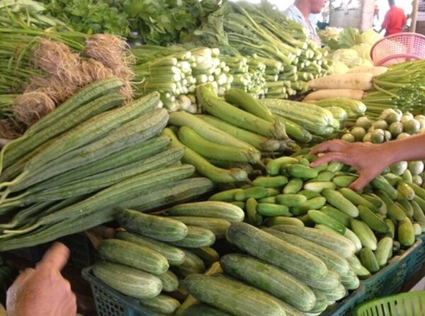 ตลาดสดสุราษฎร์ธานี ตลาดสดหน้าศูนย์พัฒนา ร้านผัก