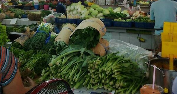 ตลาดพิษณุโลกร่วมใจ ตลาดเมืองพิษณุโลก ร้านผัก