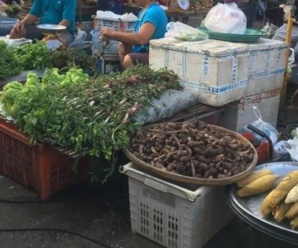 ตลาดสดเมืองสุรินทร์ ตลาดสดเทศบาลเมืองสุรินทร์ ใกล้กับไปรษณีย์ธนสาร