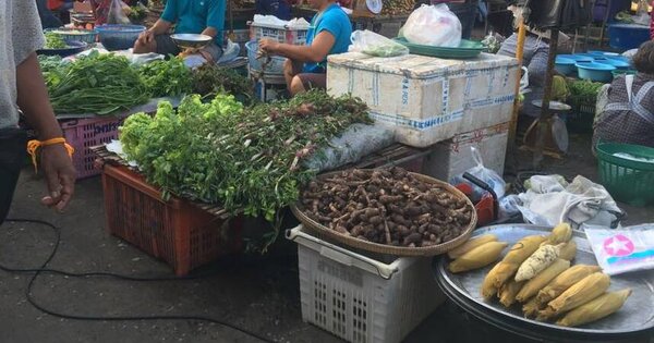 ตลาดสดเทศบาลเมืองสุรินทร์ ร้านผัก