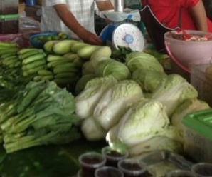 ตลาดสดชัยนาท ตลาดสดหันคา ใกล้สี่แยกศูนย์บริการสาธารณสุขเทศบาลตำบลหันคา