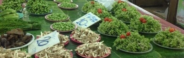ตลาดต้นยาง ตลาดสดลำปาง ร้านผัก