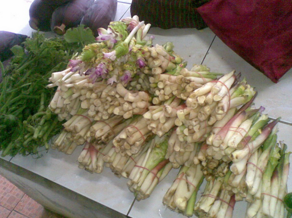 ตลาดหนองบัวลำภู ตลาดสดเทศบาลตำบลนามะเฟือง ร้านผักพื้นบ้าน