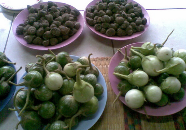 ตลาดเช้าหนองบัวลำภู ตลาดสดเทศบาลตำบลนามะเฟือง ร้านผักพื้นเมือง