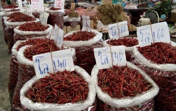 ตลาดสดเทศบาลเมืองกาฬสินธุ์ ร้านพริกแห้ง