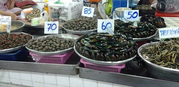 ตลาดเทศบาลเมืองตราด ร้านหอย