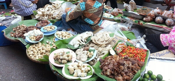 ตลาดเมืองพิษณุโลก ตลาดเทศบาล 1 (กิติกร) ร้านเห็ด