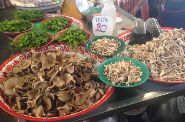 ตลาดสดทุ่งนาทอง ร้านเห็ดและของป่า