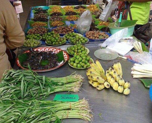 ตลาดสดกาฬสินธุ์ ตลาดสดเทศบาลเมืองกาฬสินธุ์ ร้านแมลงทอด