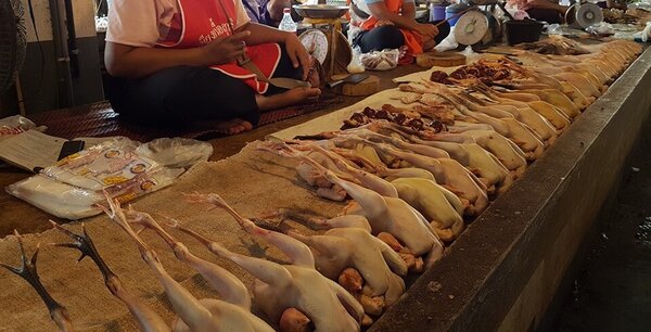 ตลาดสดเทศบาล 1 สกลนคร ร้านไก่