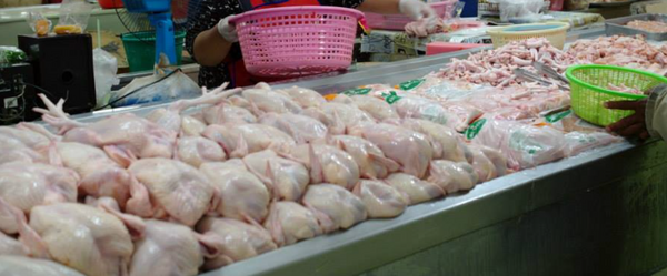 ตลาดสดนครศรีธรรมราช ร้านไก่สด