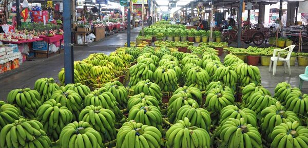 ตลาดไท ตลาดค้าส่งผัก ผลไม้ โซนผลไม้