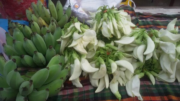 ตลาดเทศบาล 1 ตลาดสดนครราชสีมา ร้านกล้วย