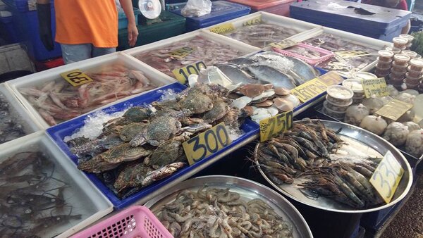 ตลาดสดเทศบาลชะอำ ตลาดสดชะอำ ร้านของทะเล