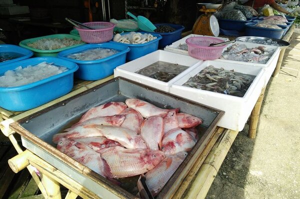 ตลาดสดปาย ร้านของทะเล