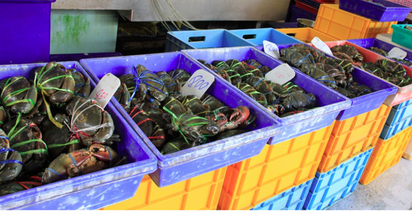 ตลาดสดสามย่าน ตลาดเช้า สามย่าน ร้านของทะเล
