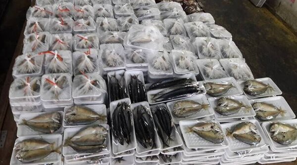 ตลาดสดยโสธร ตลาดสดกุดชุมพัฒนา ร้านปลา