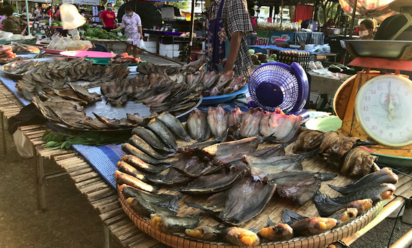 ตลาดสดเทศบาลตำบลโคกพระ ตลาดสดมหาสารคาม ร้านปลา