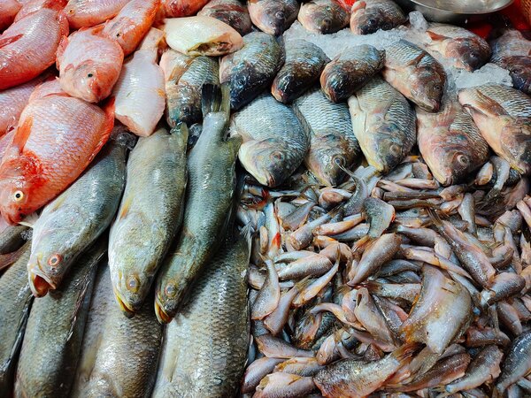 ตลาดดวงแก้วพลาซ่า ตลาดสดนนทบุรี ร้านปลาสด