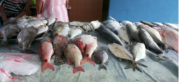 ตลาดสดพังงา ตลาดสดเทศบาลเมืองตะกั่วป่า ร้านปลาสด
