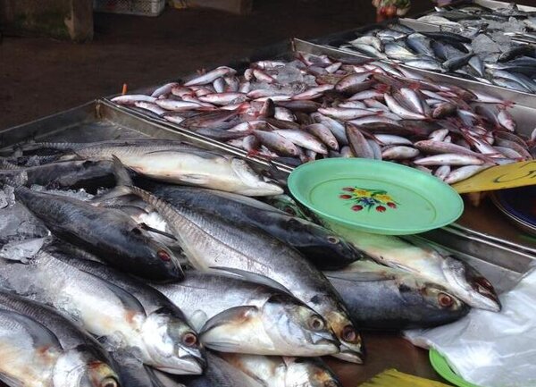 ตลาดสดกระบี่ ตลาดสดเพชรสุก ร้านปลาสด