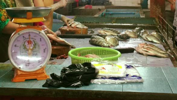 ตลาดฝางกัลยา ร้านปลาสด
