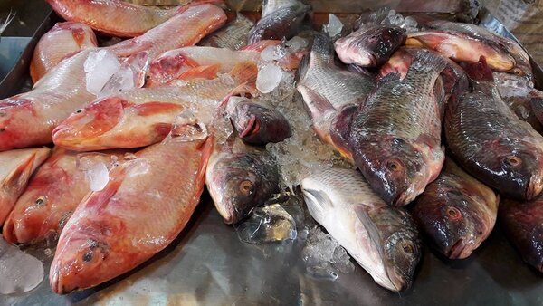 ตลาดเช้าสระแก้ว ตลาดสดเทศบาลตำบลวังน้ำเย็น ร้านปลาสด