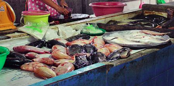 ตลาดคลองเตย ตลาดสดสงขลา ร้านปลาสด