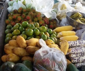 ตลาดสดระนอง ตลาดสดกำพวน อยู่ติดถนนเพชรเกษมสายเก่า