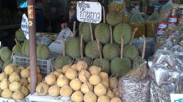 ตลาดผลไม้ จันทบุรี ร้านผลไม้ ของฝาก