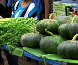 ตลาดแม่ฮ่องสอน ตลาดสดผาบ่อง ใกล้วัดผาบ่องเหนือ