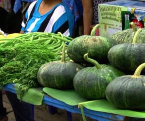 ตลาดสดผาบ่อง ตลาดสดแม่ฮ่องสอน เปิดขายทุกวัน เวลา 05.00-20.00 น.