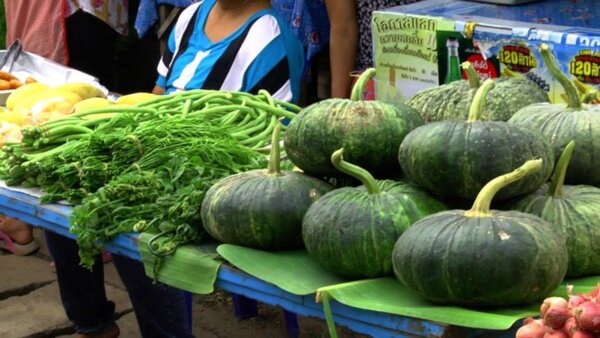 ตลาดแม่ฮ่องสอน ตลาดสดผาบ่อง ร้านผัก