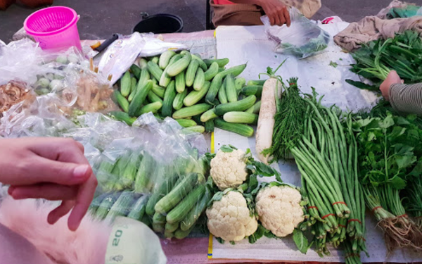 ตลาดเช้าชัยภูมิ ตลาดเทศบาลตำบลจตุรัส ร้านผัก