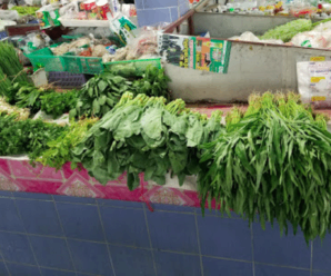 ตลาดสดเทศบาลตำบลบ้านโคก ตลาดผัก ผลไม้ จ.หนองบัวลำภู เปิดทุกวัน เวลา 06.00-19.00 น.
