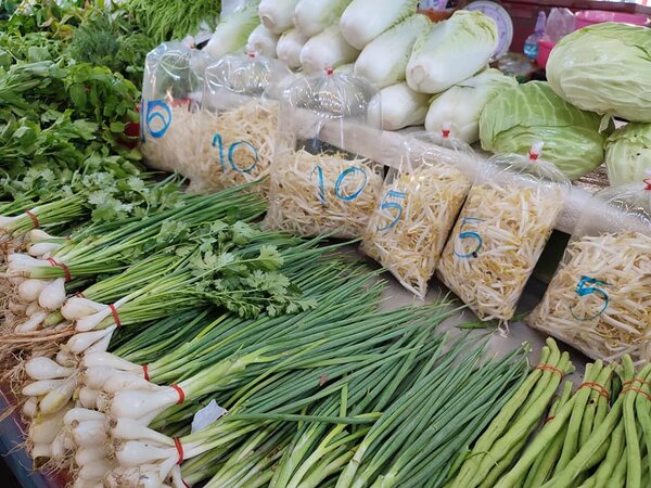 ตลาดดวงแก้วพลาซ่า ตลาดสดนนทบุรี ร้านผัก