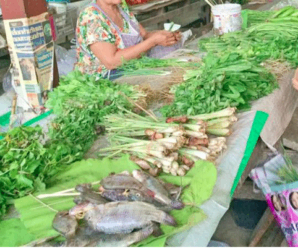 ตลาดเช้าแม่สะเรียง ตลาดแม่สะเรียง จ.แม่ฮ่องสอน ใกล้กับธนาคารกรุงไทย สาขาแม่สะเรียง