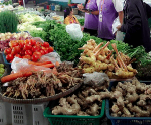 ตลาดสดสุรินทร์ ตลาดสดคุณย่าทองใบ ใกล้ที่ว่าการอำเภอสำโรงทาบ