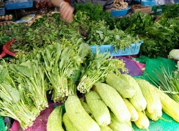 ตลาดสดนครพนม ตลาดสดเทศบาลธาตุพนม ร้านผัก