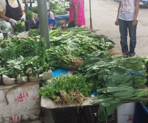 ตลาดสดปัว ตลาดเทศบาล 2 อยู่ใกล้วัดปราง จ.น่าน