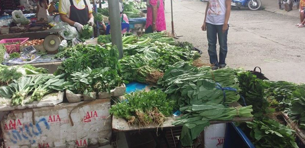 ร้านผัก