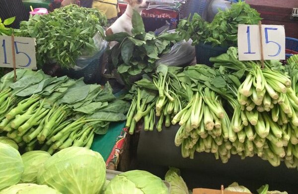 ตลาดสดสามพราน ตลาดเช้า นครปฐม ร้านผัก