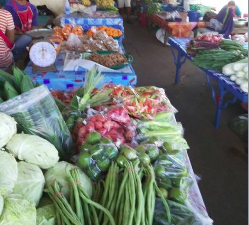 ตลาดเช้ายโสธร ตลาดสดกุดชุมพัฒนา ร้านผัก