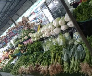 ตลาดสดพิจิตร ตลาดร่วมเจริญ โพธิ์ไทรงาม ใกล้กับโรงเรียนโพธิ์ไทรงามวิทยาคม