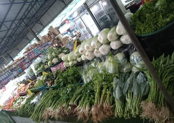 ตลาดร่วมเจริญ โพธิ์ไทรงาม ตลาดสดพิจิตร ร้านผัก