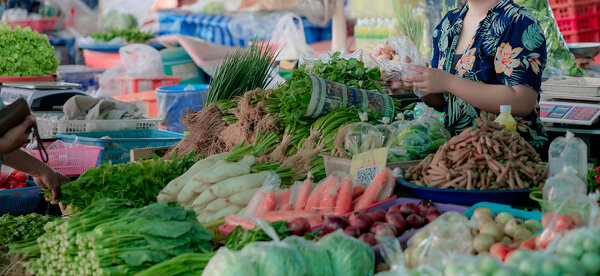 ตลาดศูนย์การค้าเมืองกำแพงเพชร ตลาดเช้า กำแพงเพชร ร้านผัก