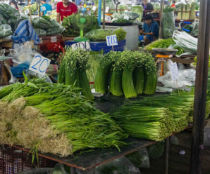 ตลาดเช้า บางใหญ่ ตลาดบางใหญ่ นนทบุรี เปิดทุกวัน ติดถนนกาญจนาภิเษก