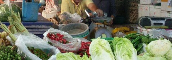 ตลาดโคกมะตูม (ตลาดเทศบาล 4) ตลาดสดพิษณุโลก ร้านผัก