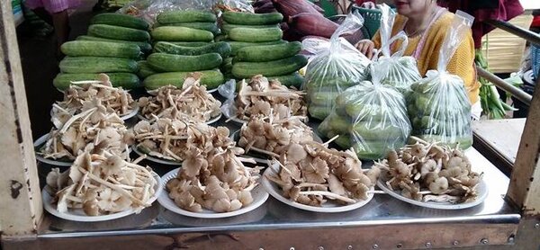 ตลาดเช้าสกลนคร ร้านผักพื้นบ้าน