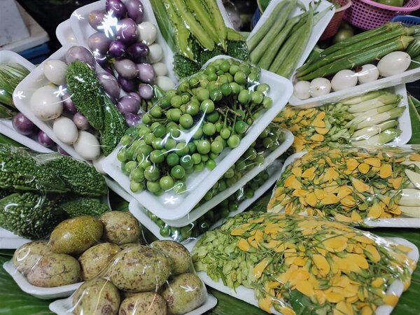 ตลาดสดนนทบุรี ตลาดดวงแก้วพลาซ่า ร้านผักสมุนไพร
